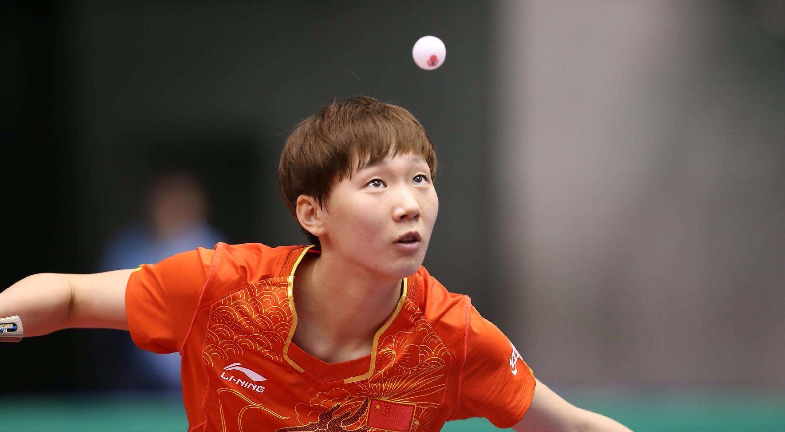 治郅再度成 治郅再度成