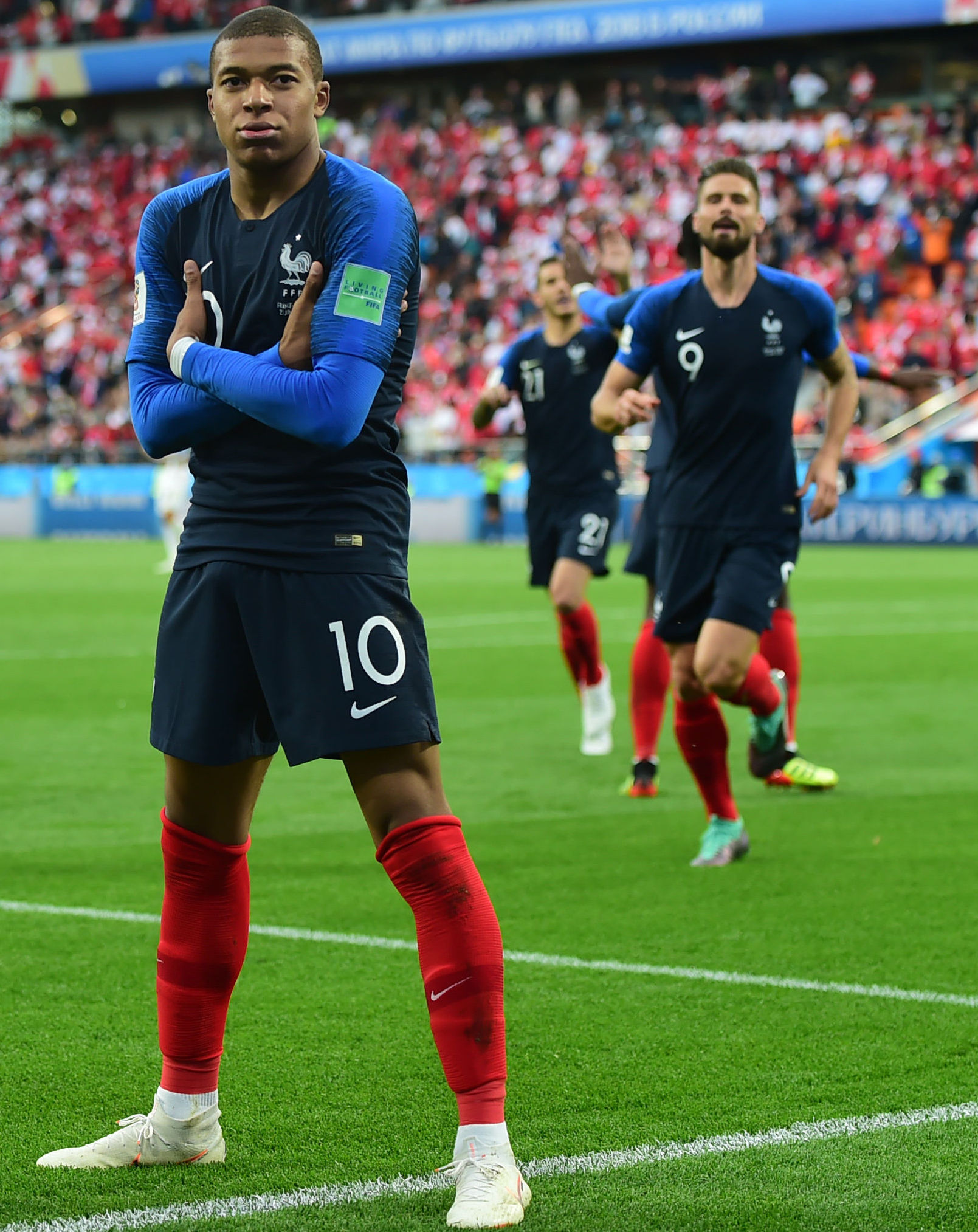 险动作的敏 险动作的敏