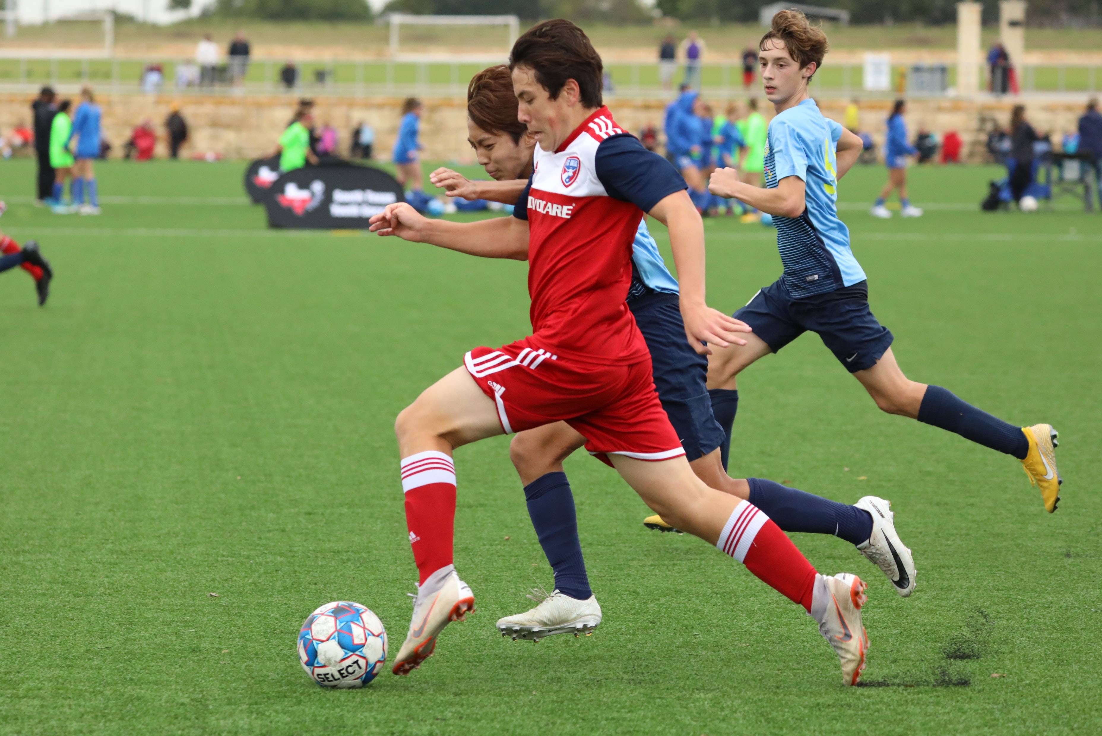 有效结论 有效结论